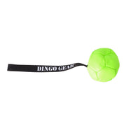 Dingo Gear – zöld, felfújható labda fogantyúval
