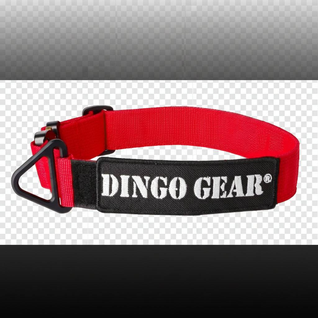 Dingo Gear – COBRA taktikai nyakörv – polipropilén hevederből, fogantyú nélkül