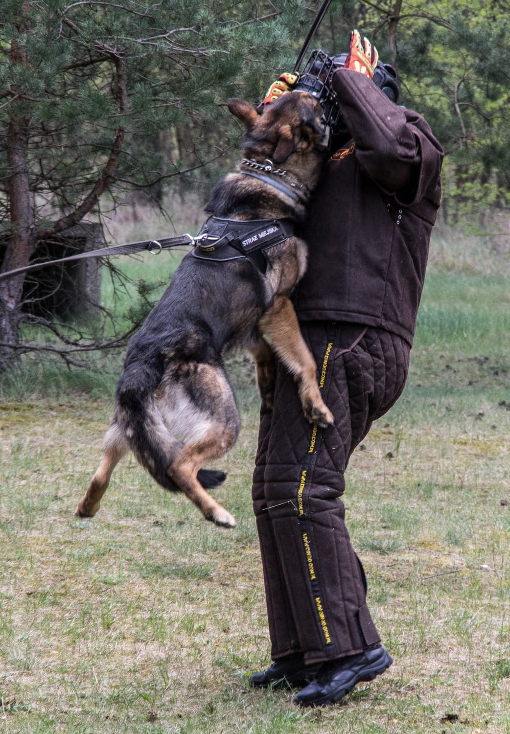 Dingo Gear – Geacă de antrenament ușoară din piele ecologică
