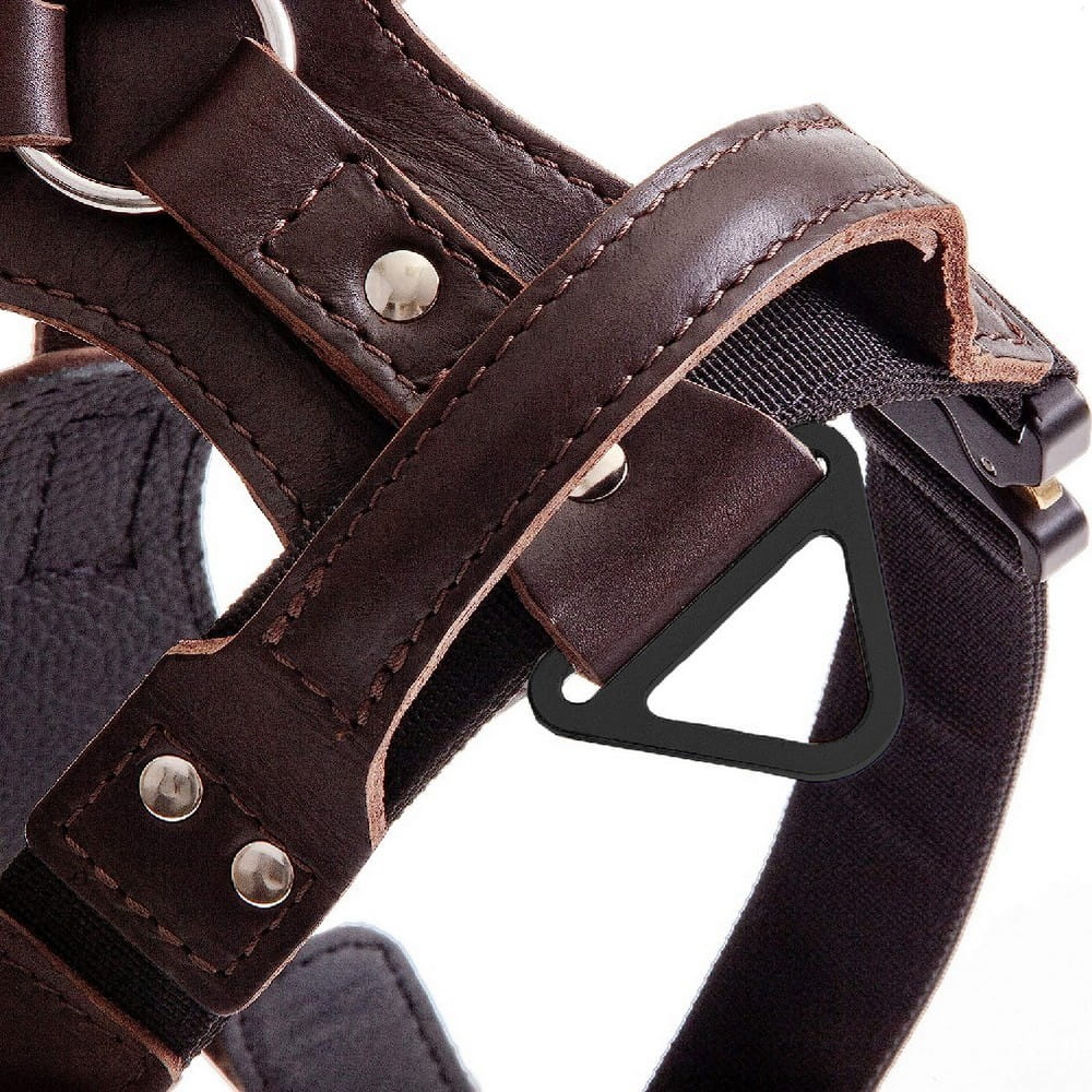 Dingo Gear – Professzionális bőr hám COBRA csattal – erő, biztonság, megbízhatóság