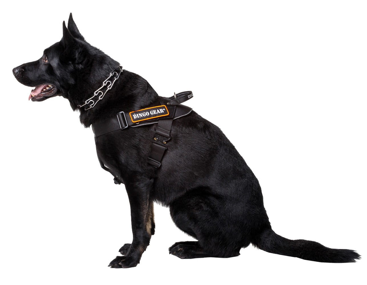 Dingo Gear – ham de lucru cu sistem COBRA