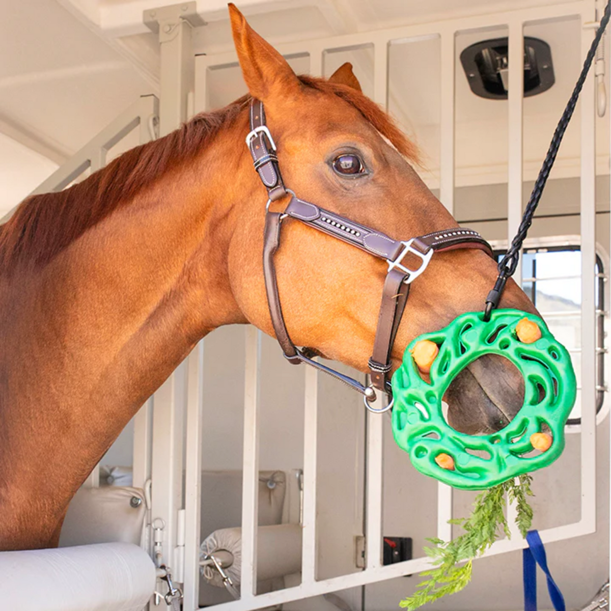 Jucărie petKore Luna Ring XL pentru cai