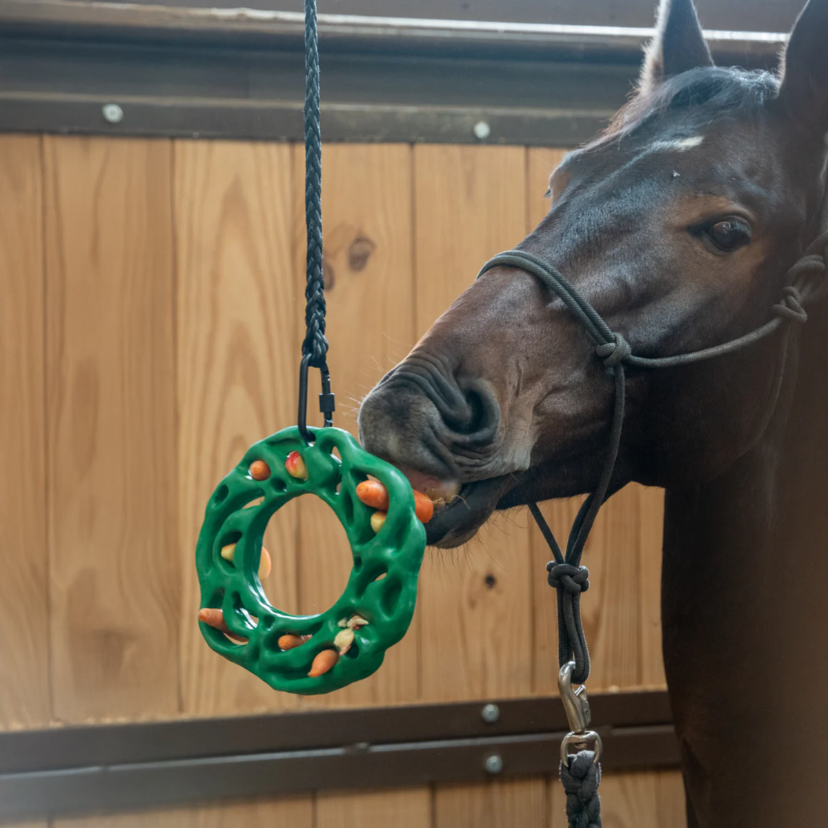 Jucărie petKore Luna Ring XL pentru cai