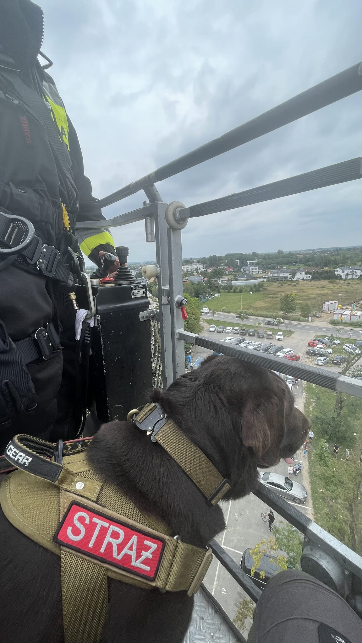 Dingo Gear – ham de lucru cu sistem COBRA