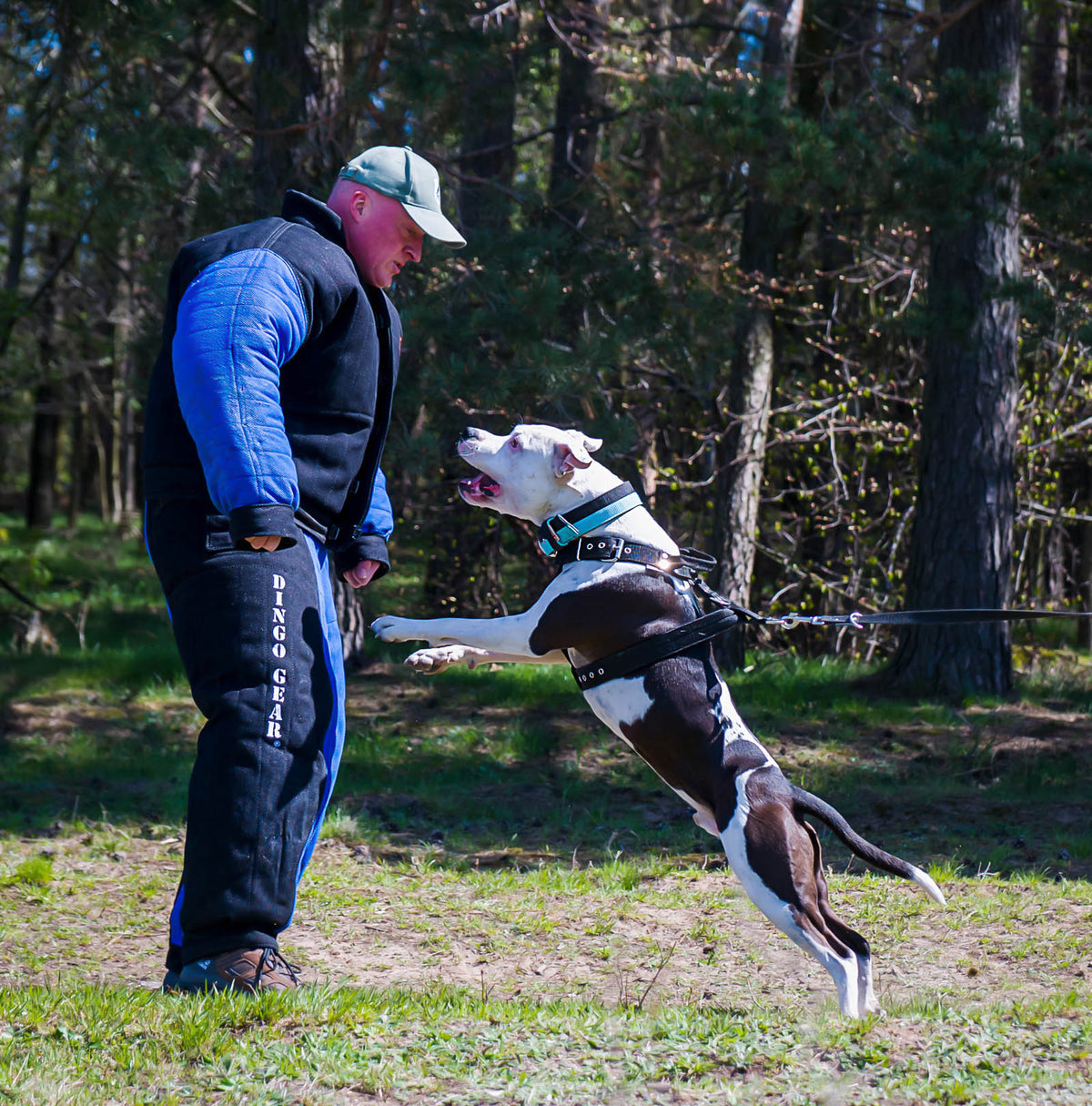Dingo Gear – Costum de protecție completă pentru mușcătură (full bite)