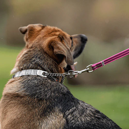 NeckTech Fun nyakörv szerelőlánccal és ClicLock zárral – rozsdamentes acél