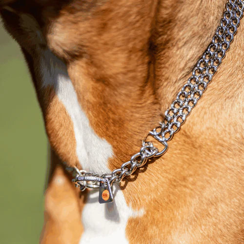 Kétsoros Martingale nyakörv, csiszolt lapos szemek – rozsdamentes acél, 2,0 mm