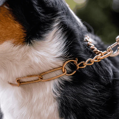 Martingale nyakörv korlátozott húzással – CUROGAN, 4,0 mm