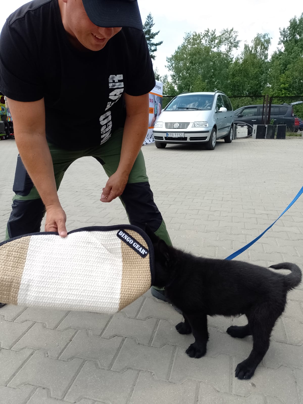 Dingo Gear WOLF – manșon universal ușor de dresaj din iută, SOFT