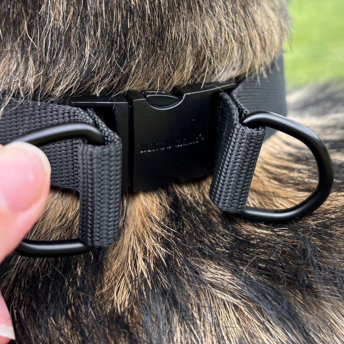 Dingo Gear – Zgardă cu țepi rotunjiți, neagră
