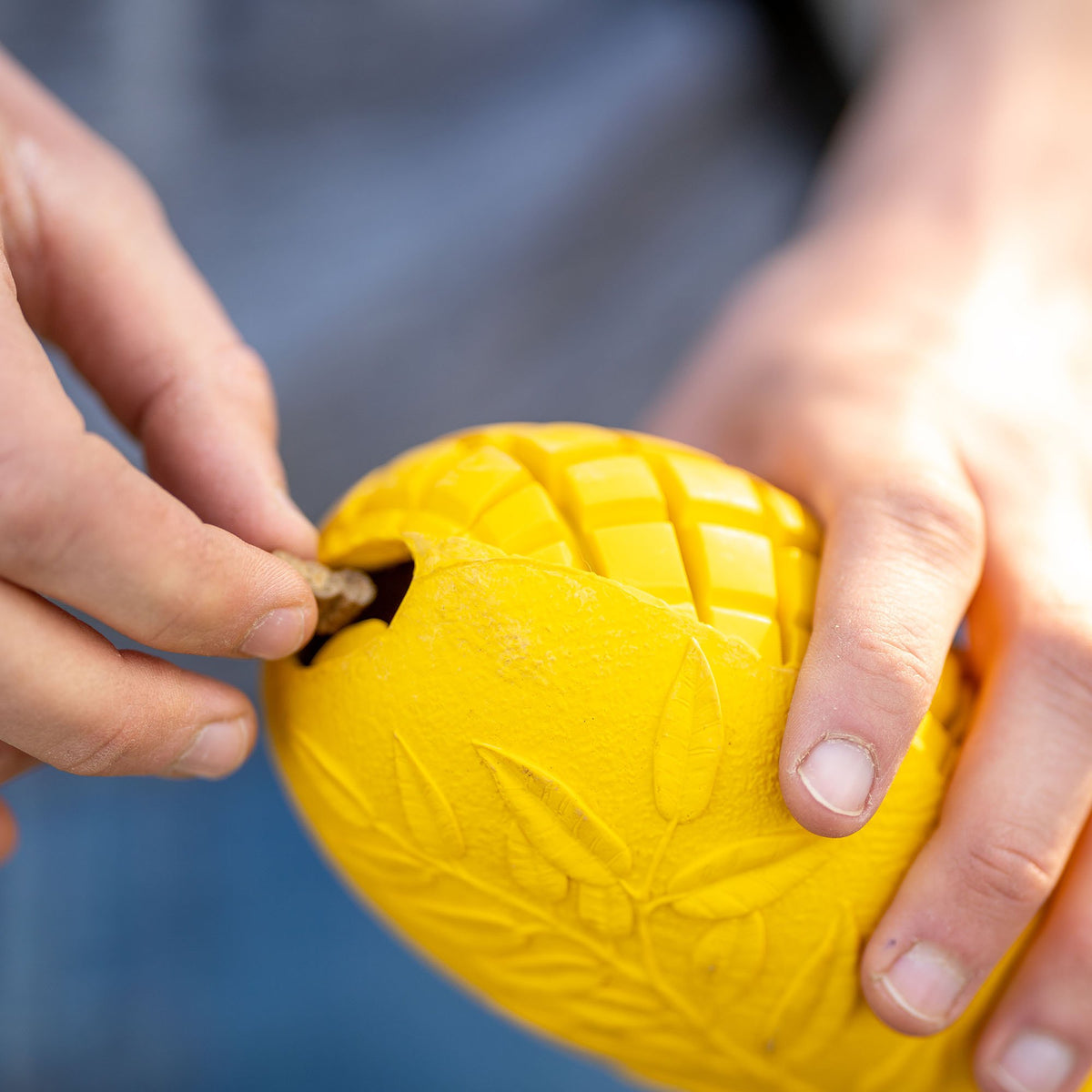 Sprenger FRUIT CHALLENGE „Mango” kutyajáték