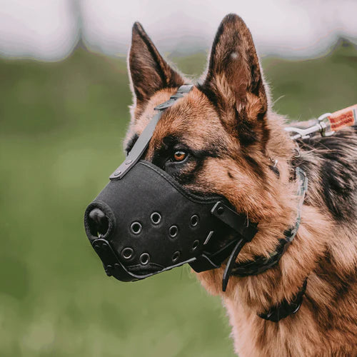 Sprenger szájkosár – Cordura