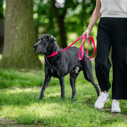 Állítható BioThane® kutyapóráz Sprenger, 3 fokozatban, 2,3 m