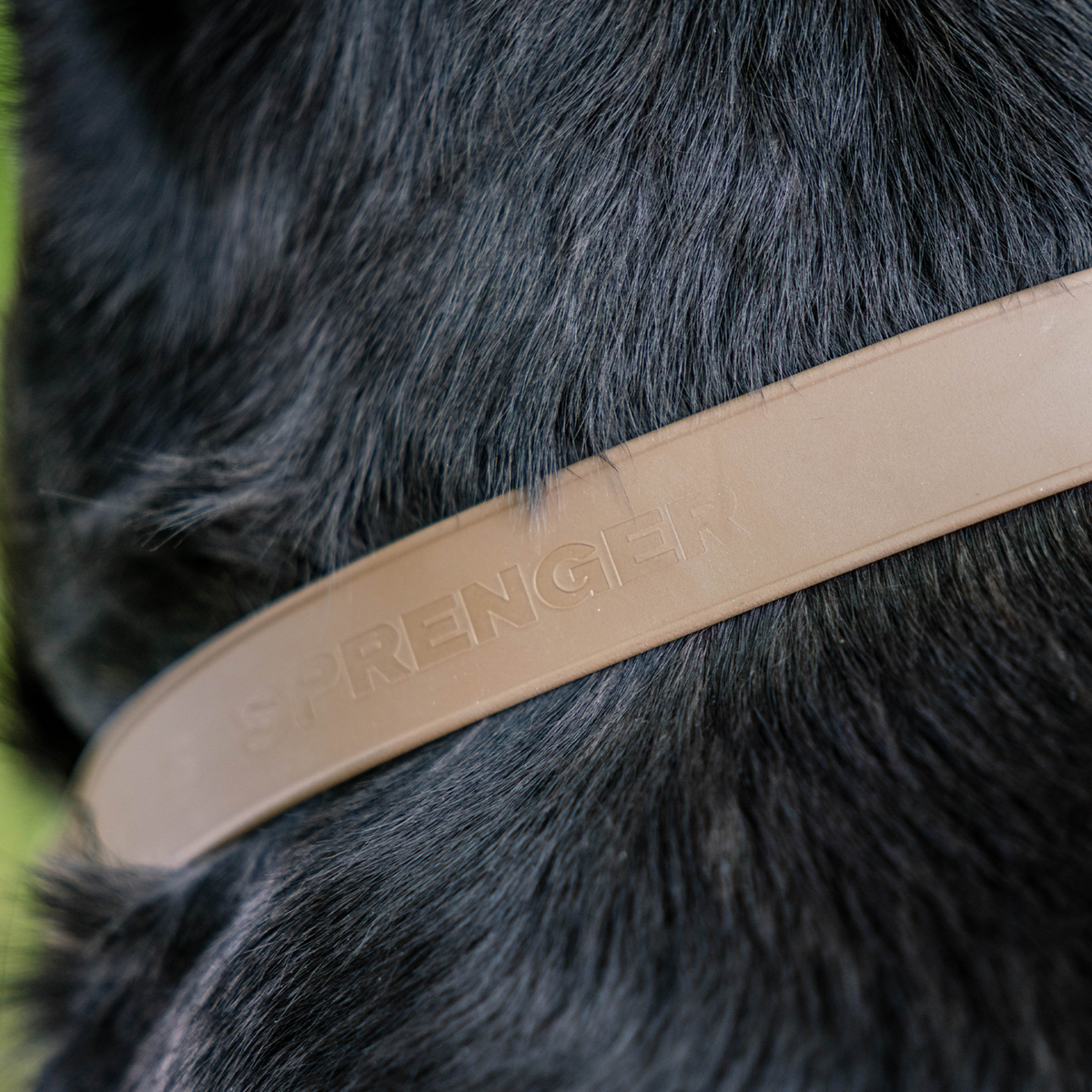 Állítható BioThane® martingál nyakörv, 40–65 cm