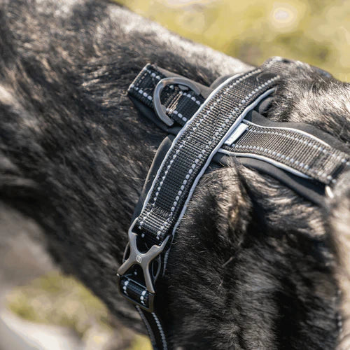 Y-Harness Sprenger kutyahám