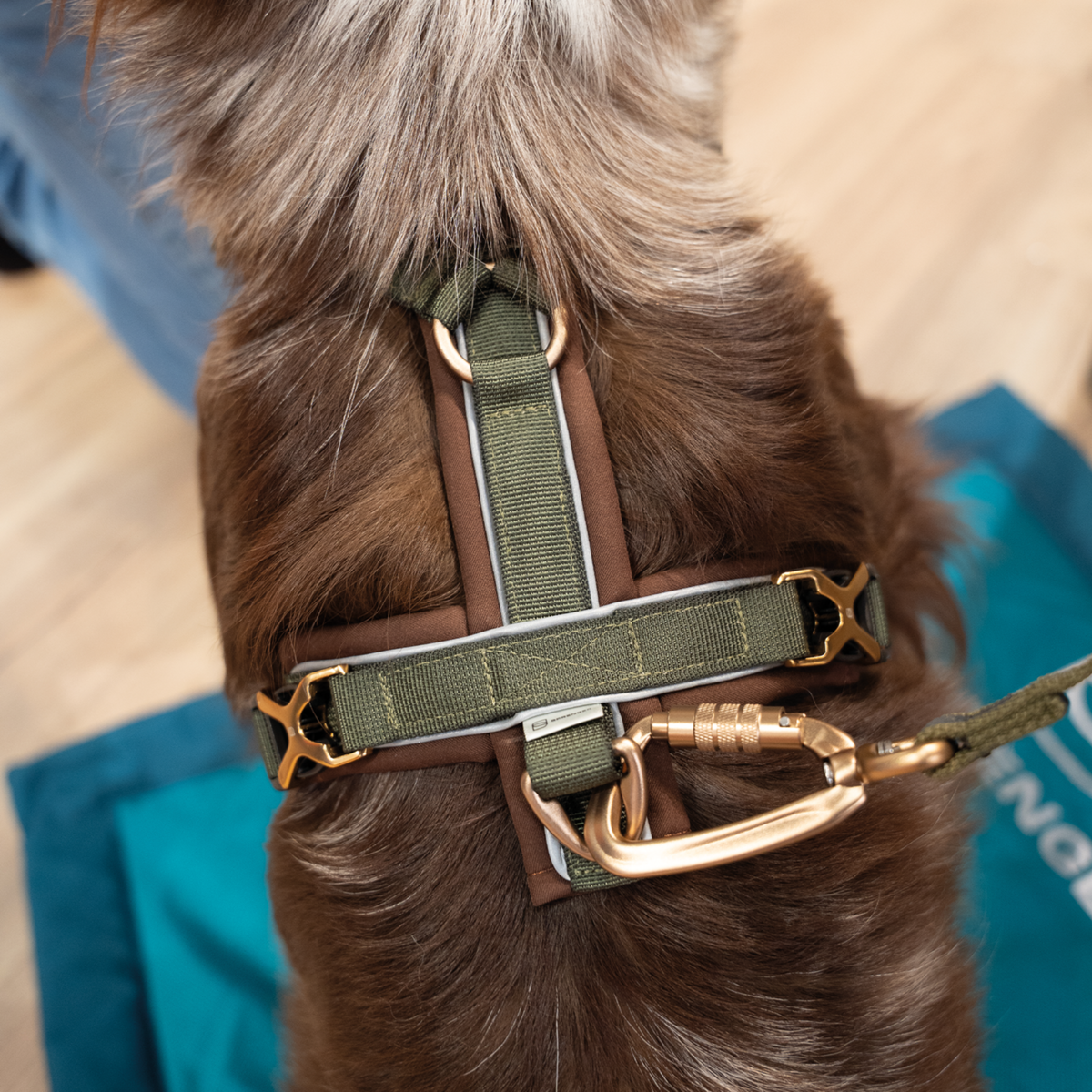 Ham Sprenger Y-Harness 2.0 pentru câini