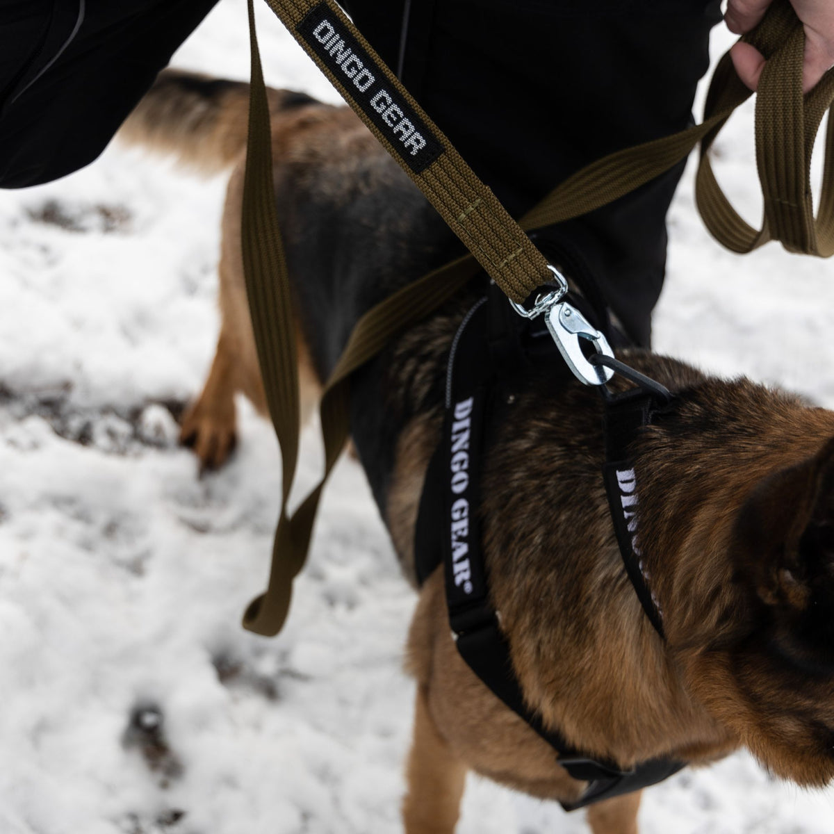 Dingo Gear – munkahám COBRA rendszerrel