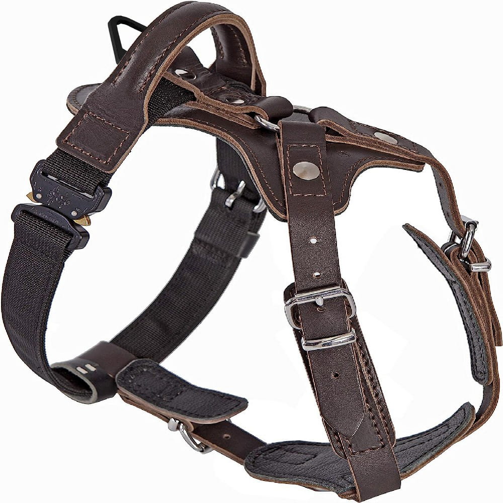 Dingo Gear – Professzionális bőr hám COBRA csattal – erő, biztonság, megbízhatóság