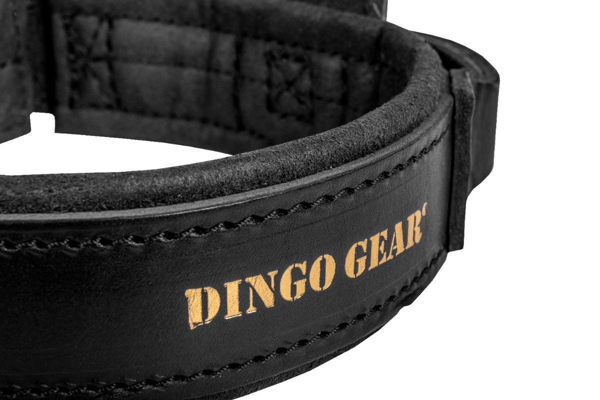 Dingo Gear – DRAGO nyakörv – bőr K9-es nyakörv fogantyúval professzionális kiképzéshez