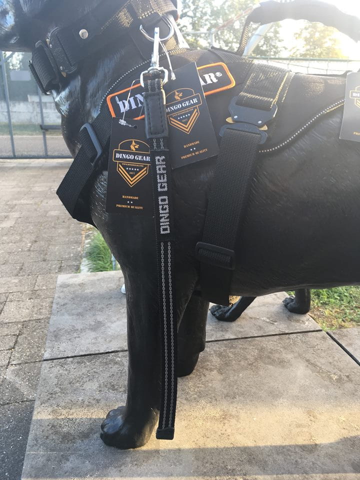 Dingo Gear – egyszerű, gumírozott hevederpóráz fogantyúval