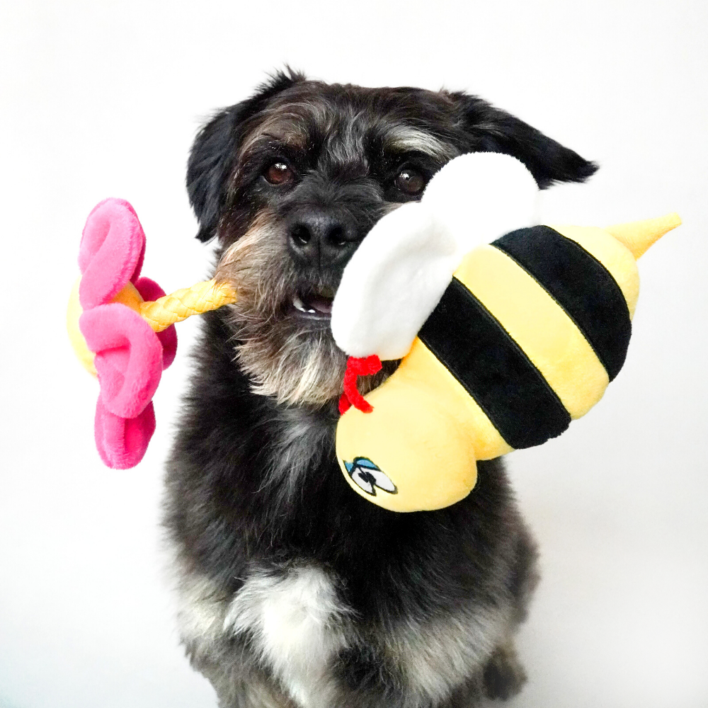 Érzékelő játék kutyáknak Beti the Bee