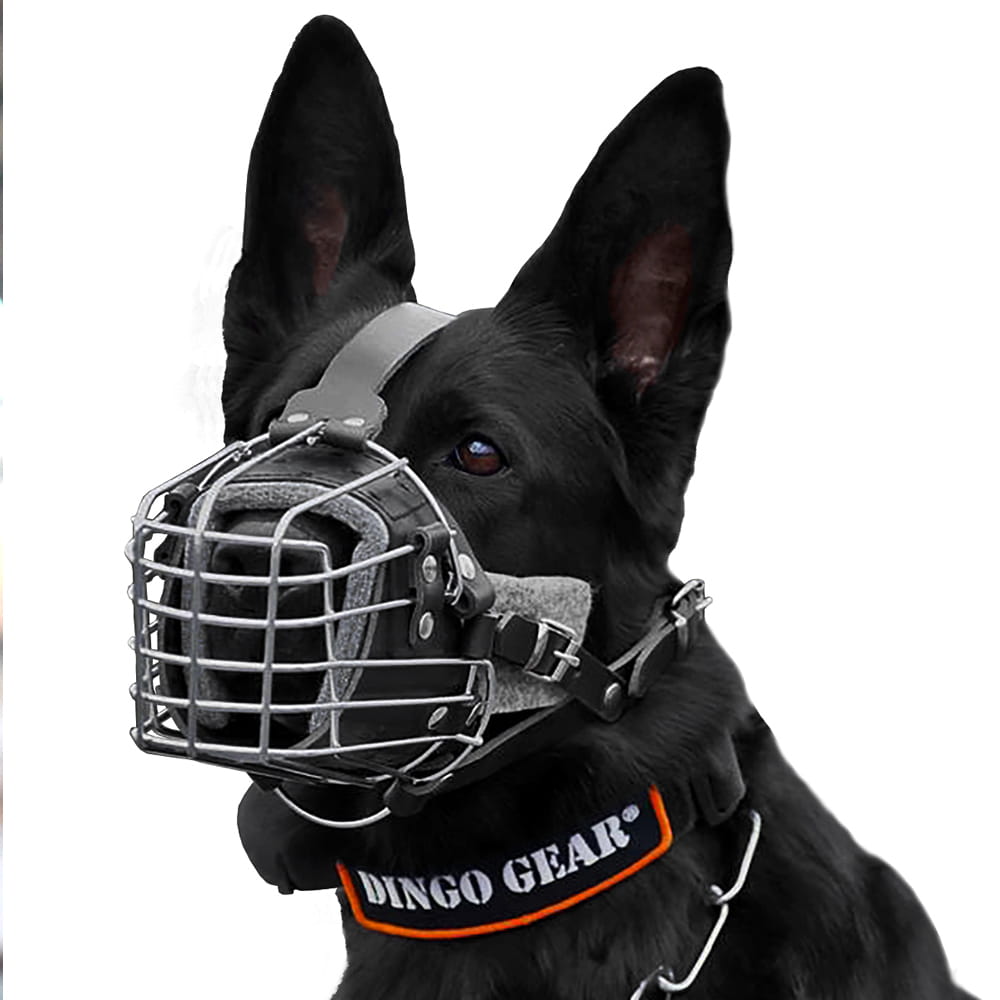 Dingo Gear – Harci és kiképző szájkosár – szolgálati és munkakutyák számára