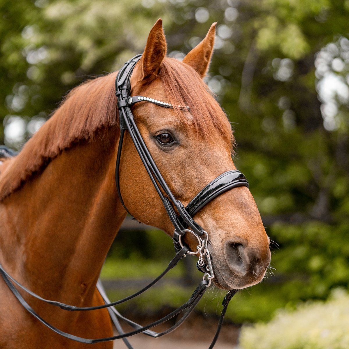 Bridon Dynamic RS 14 mm, cu două articulații