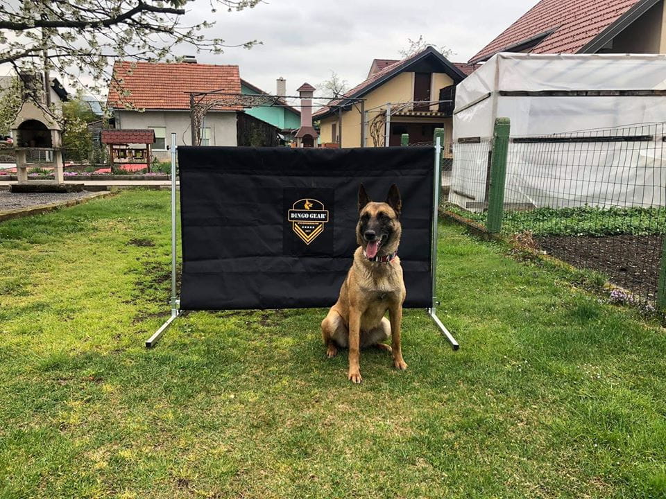 Dingo Gear – kutyakiképző akadály, magasság 100 cm × szélesség 150 cm