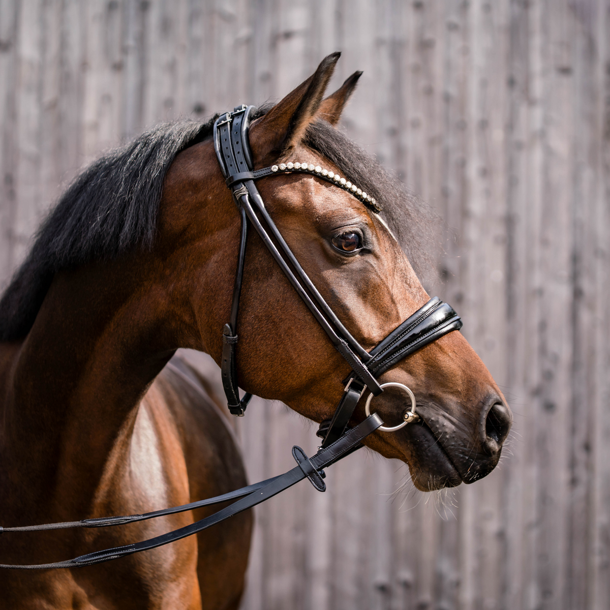 Bridon KK ULTRA - Sensogan