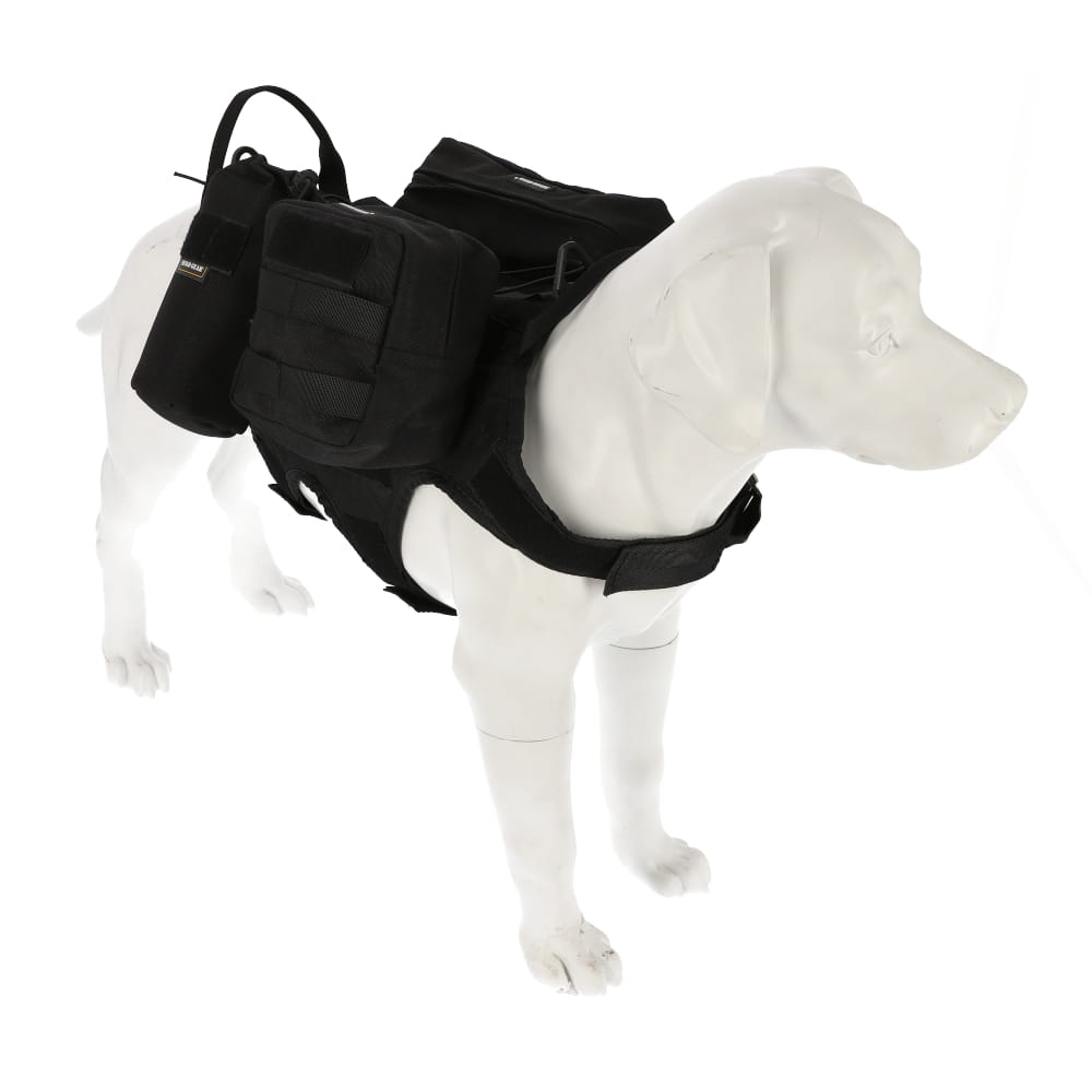Dingo Gear – Taktikai kutyahám MOLLE-rendszerrel