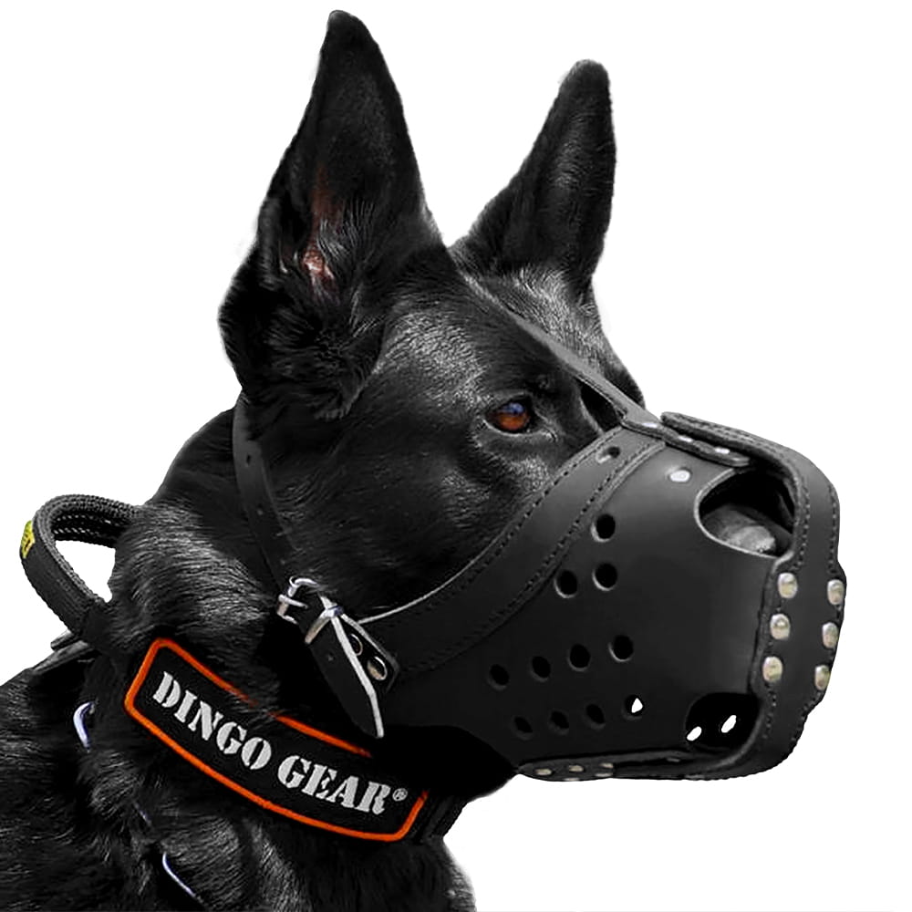 Dingo Gear – Bőr harci és kiképző szájkosár – tartósság, kényelem, teljes funkcionalitás