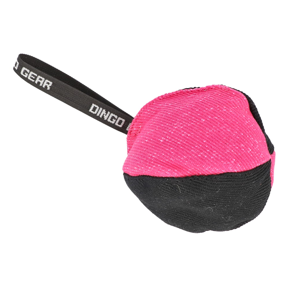 Dingo Gear – Nylcot kiképzőlabda, Ø 16 cm
