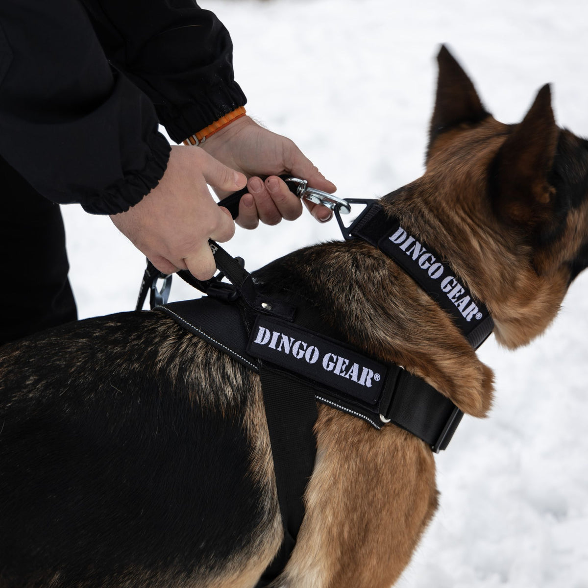 Dingo Gear – munkahám COBRA rendszerrel